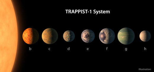 A size comparison of the planets of the TRAPPIST-1 system, lined up in order of increasing distance from their host star. The planetary surfaces are portrayed with an artist’s impression of their potential surface features, including water, ice, and atmospheres.