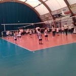 Gio Volley 2