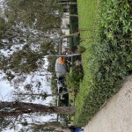 IMG_8372