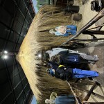 IMG_8375