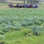 Fase provinciale corsa campestre