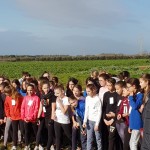 Fase provinciale corsa campestre