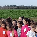 Fase provinciale corsa campestre