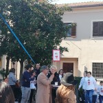 carnevale 202000085