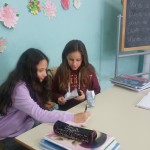 lavoro sul disegno di legge (9)