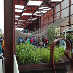 7 expo2015