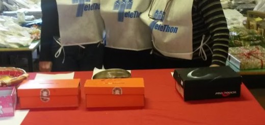 telethon 2014