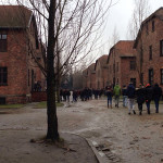 Auschwitz1