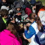 campestre28