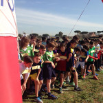 campestre8