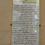 assisi 18