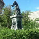 assisi 8