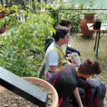 campus turano 3