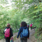campus turano 37