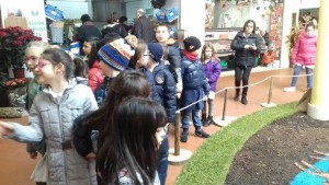 Infiorata presepi  Natale2016