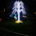 cilento-19