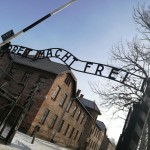 viaggio della memoria48