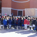 bullo31