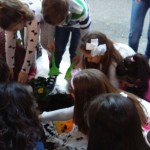 clorofilla32