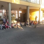 clorofilla62