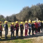 fattoria riparo 6