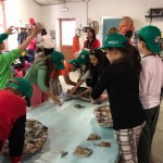Campo scuola 5CD 2017