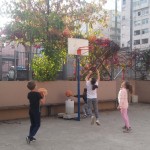 Rainbow basket 35
