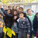 festa degli alberi 15
