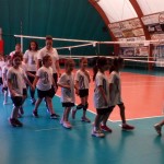 Gio Volley 1