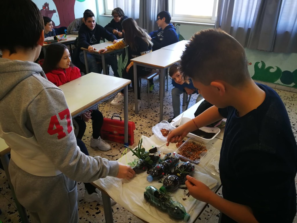 the vertical garden in progress