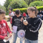 smacap_BFace