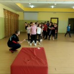 Yoseikan Budo