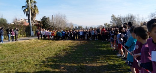 campestre