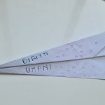 aereplno dei diritti (13)