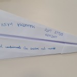 aereplno dei diritti (27)