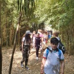 IMG-20220517-WA0082