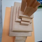 IMG-20241213-WA0015